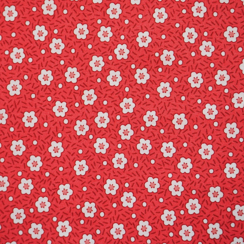 Everything But The Kitchen Sink 15 Scarlett Daisy | RJ2504-SC3