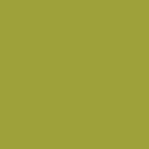 Art Gallery Pure Solids Parrot | PE-554