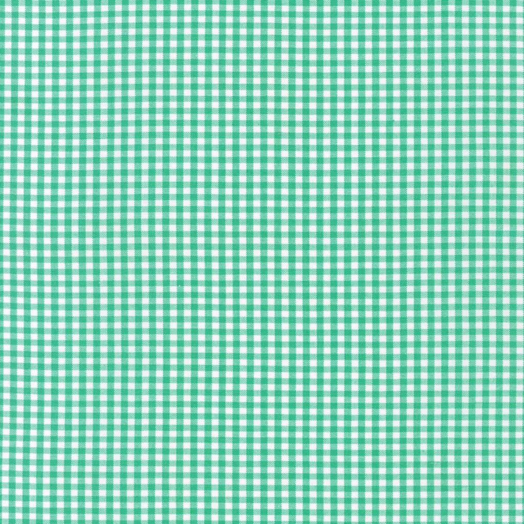 Carolina Gingham 1/8" Seafoam | 5689-241