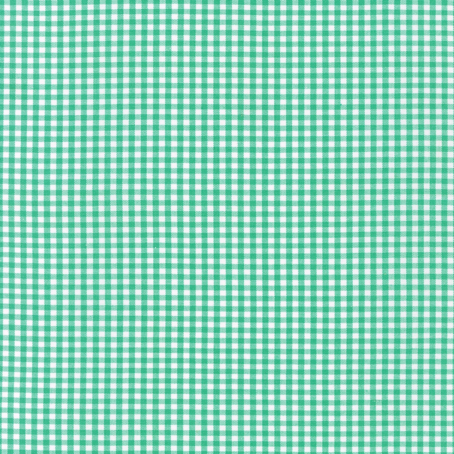 Carolina Gingham 1/8" Seafoam | 5689-241 - Image 1