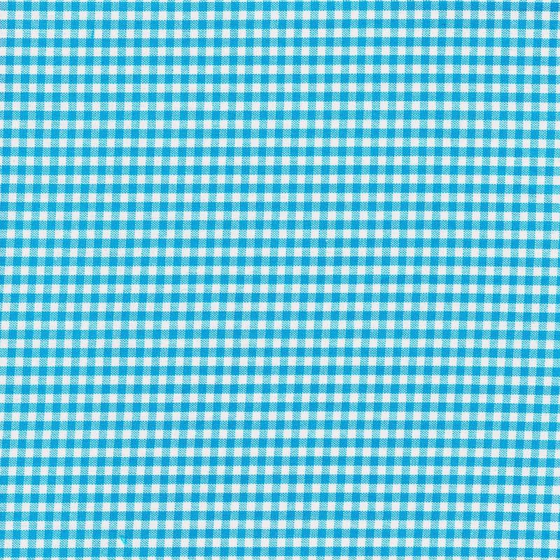 Carolina Gingham 1/8" Turquoise | 5689-10
