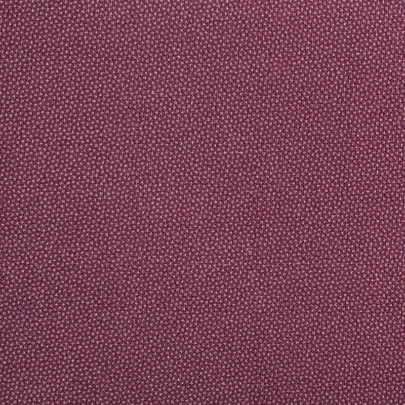 Dutch Heritage Pindot Grape | DHER1503-GRAPE