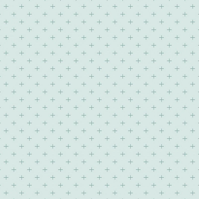 Gingham Gardens Plus Aqua | C10357R-AQUA