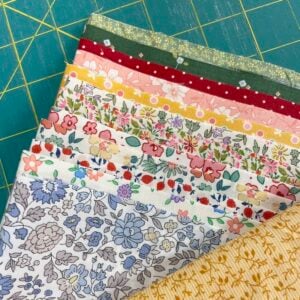 Dresden Dozen Quilt Kit - Image 6
