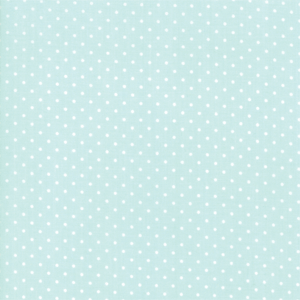 Catalina Gingham Aqua Dot | 20376-14