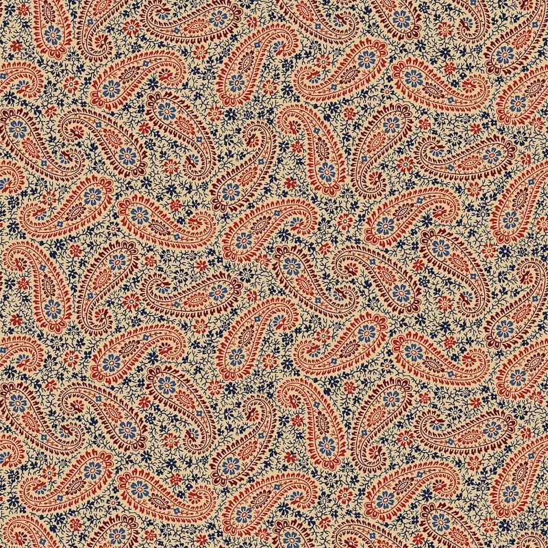 Victory Gardens Vintage Paisley Multi | CD2113-MULTI