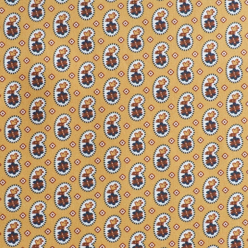 Antique Umbers Gold Perfect Paisley | R311606D-GOLD