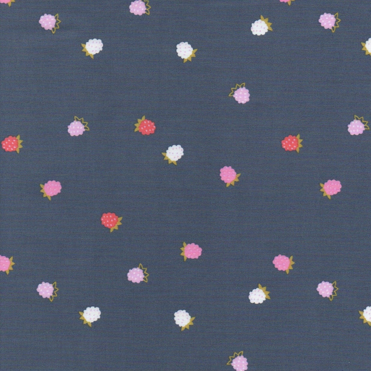 Wild Bouquet Raspberries C7473-Navy - Image 1