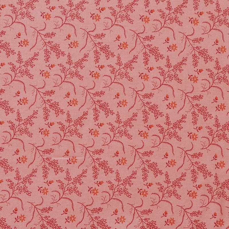 Farmers Daughter Hayfield Rose