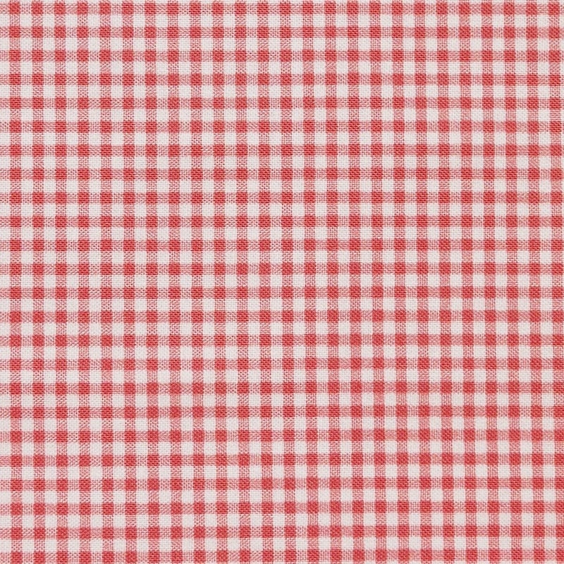 Strawberry Patched Red Mini Check