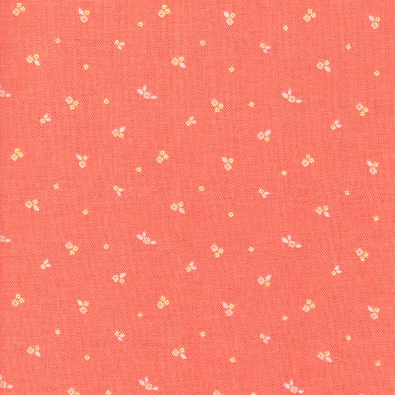 Community-C11105-Coral