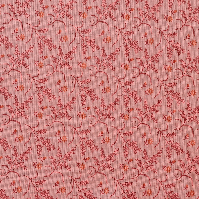 Farmers Daughter Hayfield Rose | 10083E